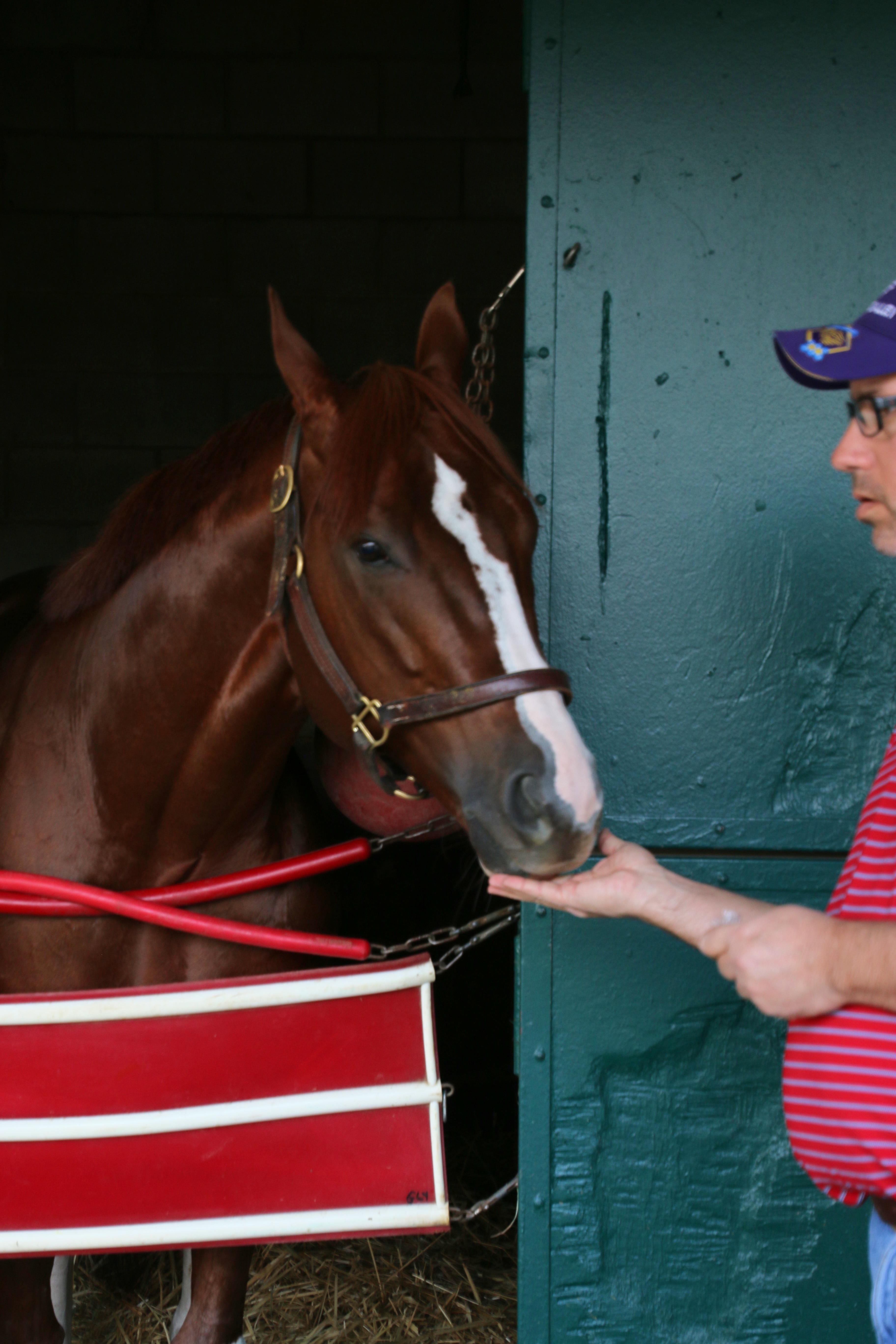 Glyshaw gives Bucchero a peppermint.